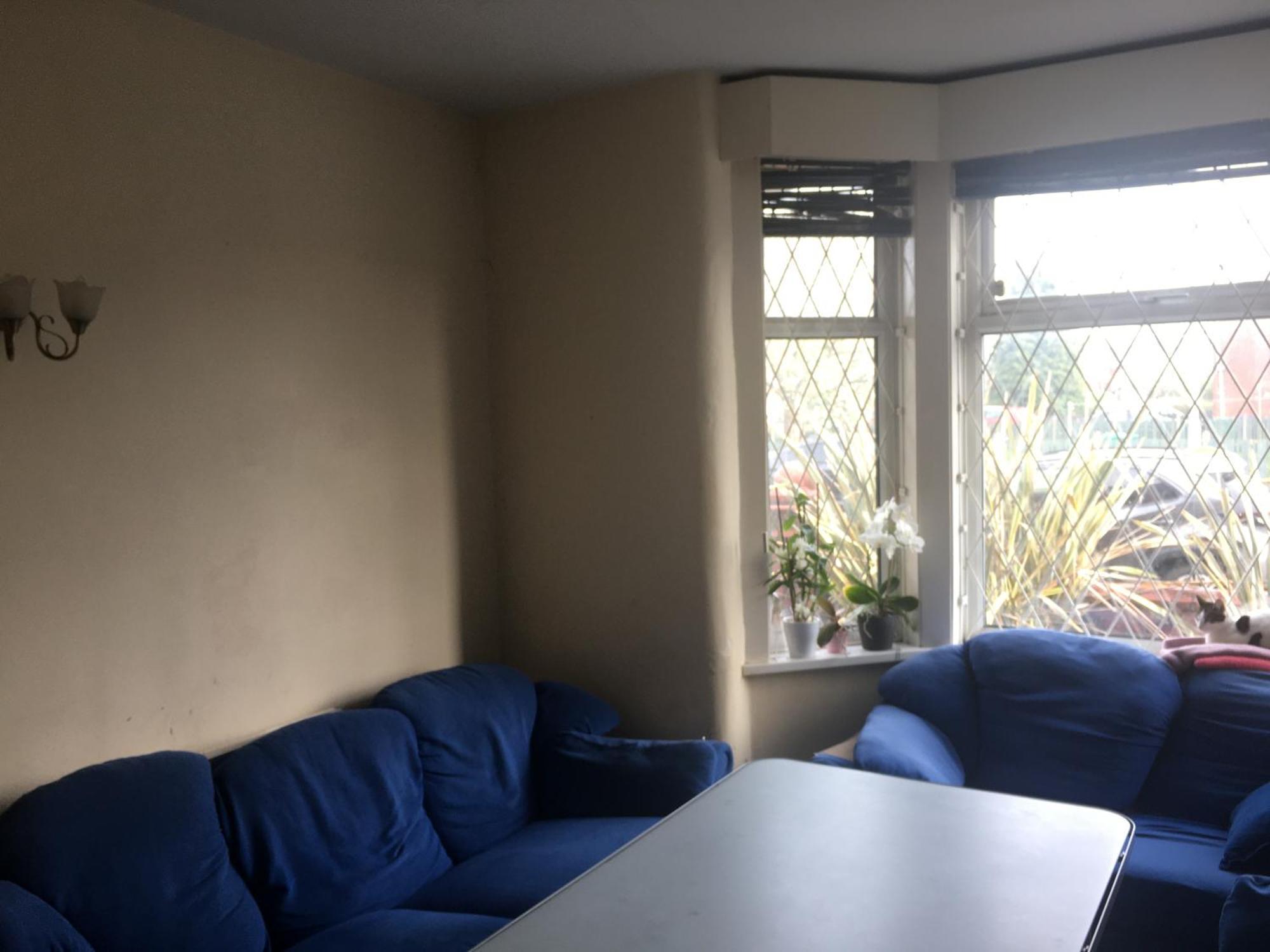 Single - Town & Nearby, 24h Bus, Airport-linked Homestay